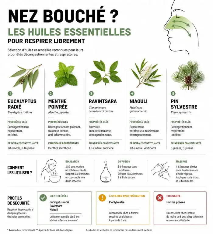 Infographie des huiles essentielles pour déboucher le nez et soulager la congestion nasale