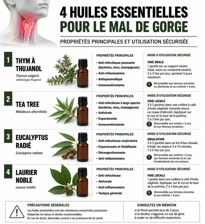 Infographie des huiles essentielles pour le mal de gorge : Thym, Tea Tree, Eucalyptus et Laurier noble