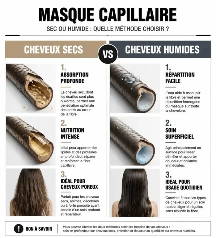 Infographie comparative : application de masque capillaire sur cheveux secs ou humides