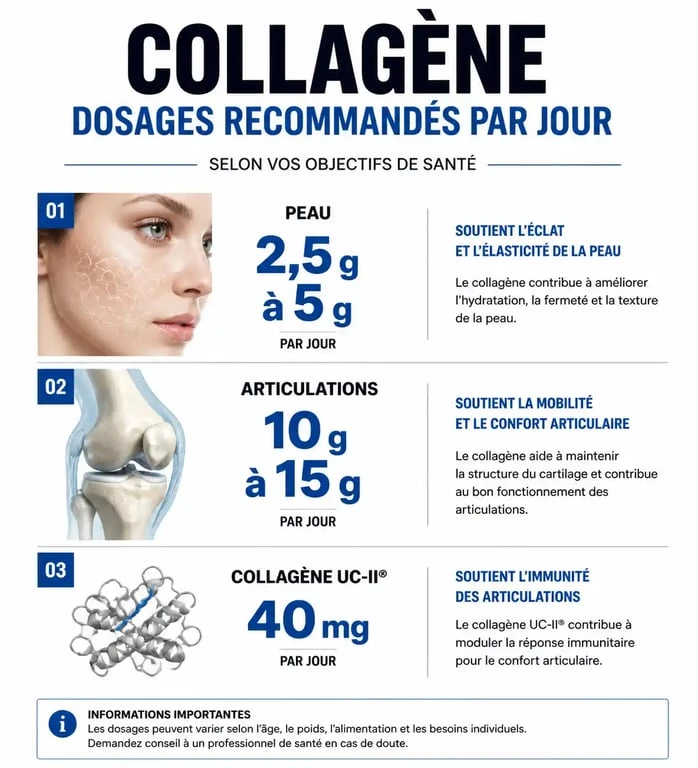 Infographie des dosages recommandés de collagène par jour selon les objectifs de santé