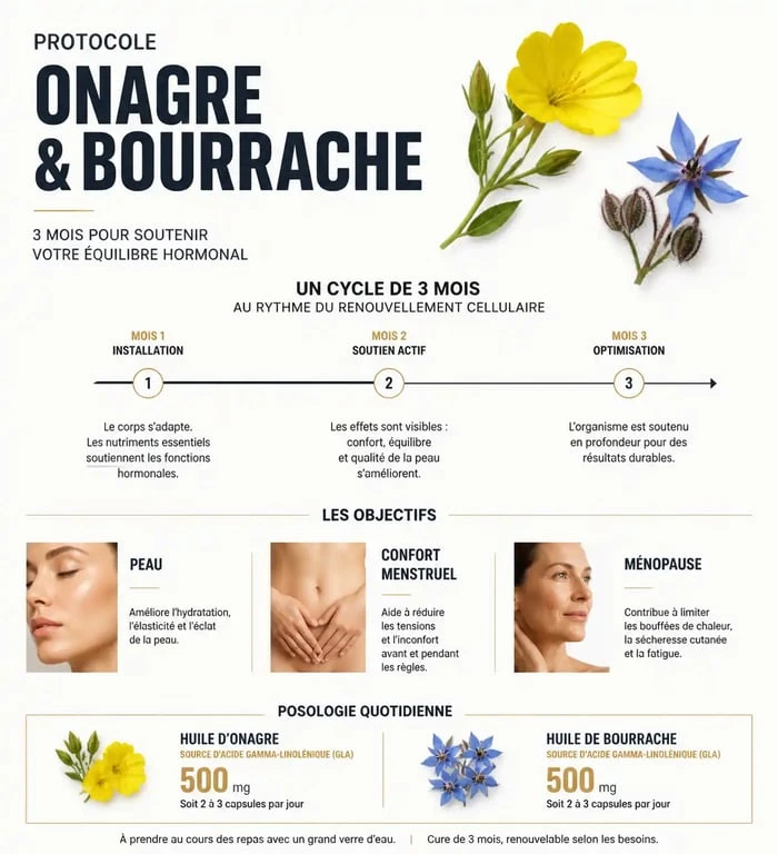 Infographie sur la durée et la posologie d'une cure d'onagre et bourrache pour la peau et le bien-être féminin