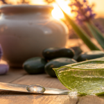 les bienfaits de l aloe vera gel sur feuille